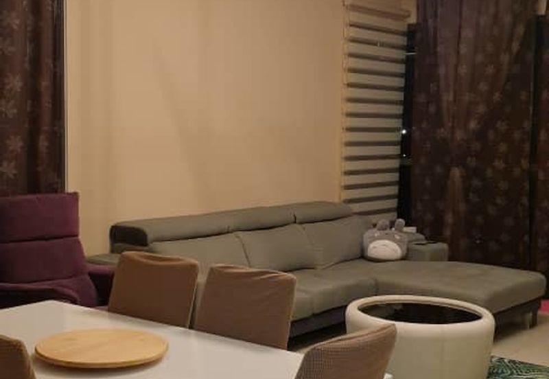 Cyperus @ Tropicana Gardens