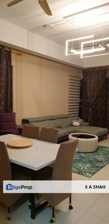 Cyperus @ Tropicana Gardens, Kota Damansara , Selangor, Petaling Jaya