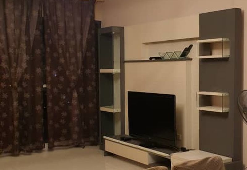 Cyperus @ Tropicana Gardens