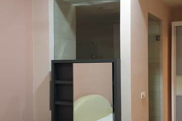 Cyperus @ Tropicana Gardens