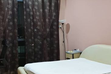 Cyperus @ Tropicana Gardens