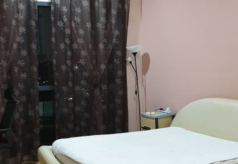 Cyperus @ Tropicana Gardens