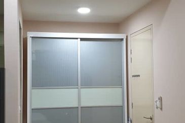 Cyperus @ Tropicana Gardens