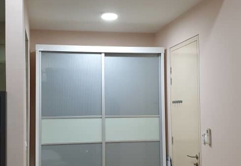 Cyperus @ Tropicana Gardens