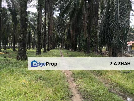 Dengkil Land for Sale, Selangor, Sepang