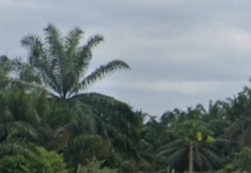 Dengkil land  48868 sf