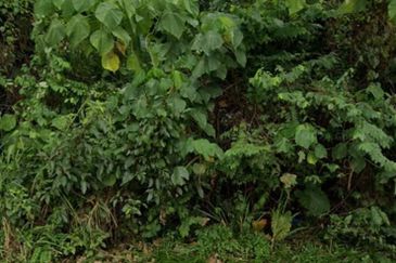 Land @ Mont Kiara Kuala Lumpur