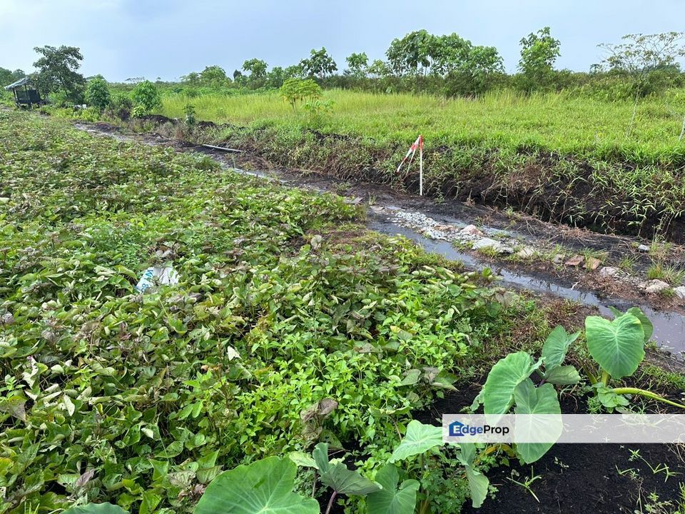 Agri land @Jln Johan Setia, Klang, Selangor, Klang