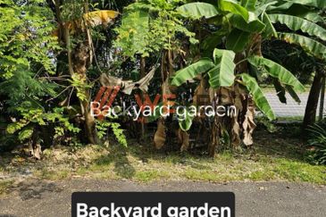 Bandar Botanic