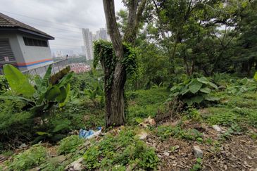 Freehold Bungalow Land @ Country Heights Damansara