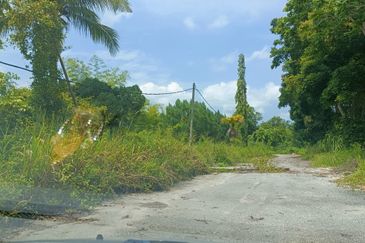 Industry Land For Sale At Slim River