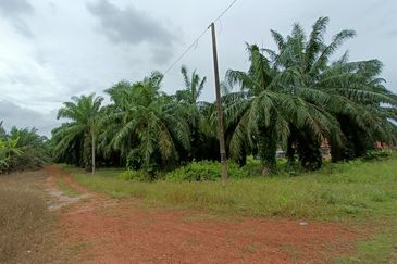 Bandar Baru Kuala Selangor
