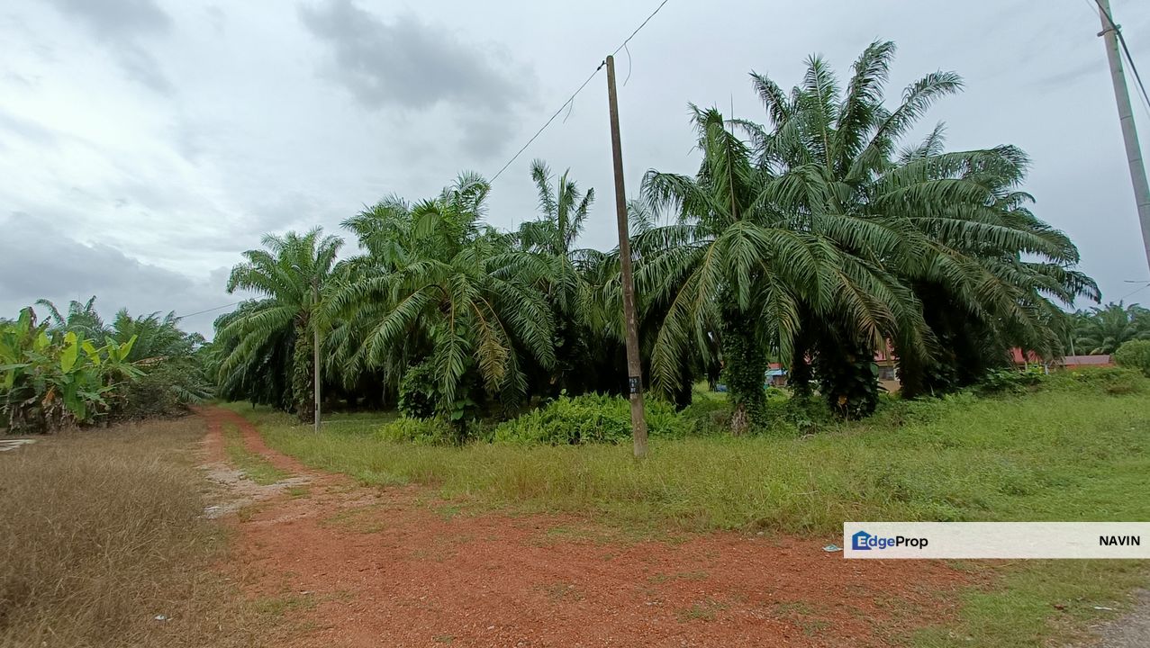 Land Sale at Kuala Selangor , Selangor, Kuala Selangor