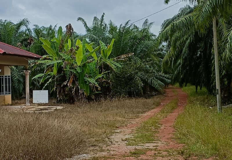 Bandar Baru Kuala Selangor
