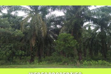 Residential Land for sale at Banting