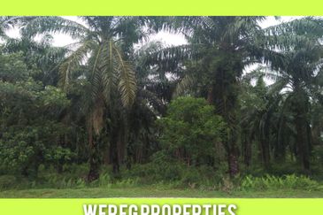 Residential Land for sale at Banting