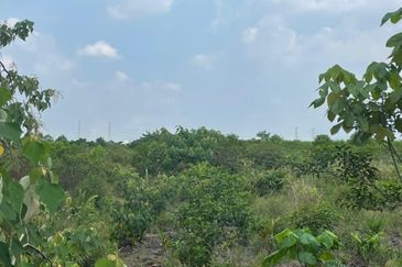 Commercial land for sale at Johan Setia Klang