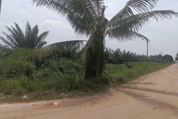 Industry Land for Sale at Kapar 