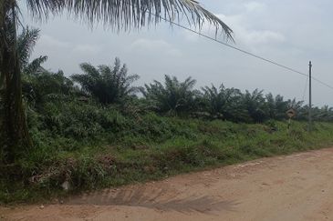 Industry Land for Sale at Kapar 
