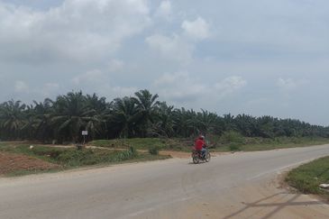 Industry Land for Sale at Kapar 