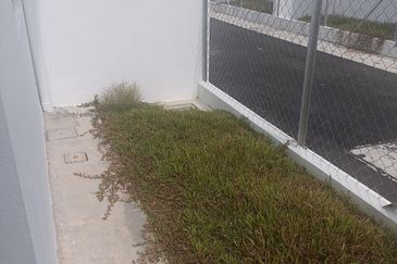 Robin @ Bandar Rimbayu