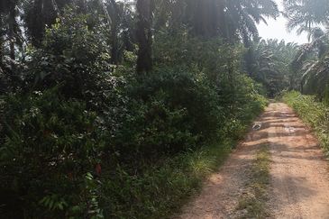 Telok Panglima Garang Industrial Zone