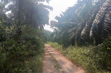 Telok Panglima Garang Industrial Zone
