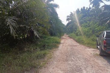Telok Panglima Garang Industrial Zone