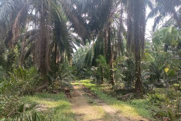 Telok Panglima Garang Industrial Zone