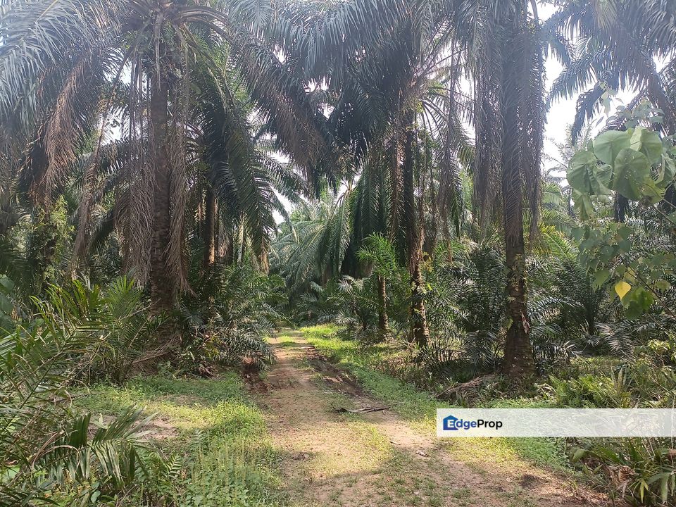 Industry land for sale at Telok Panglima Garang , Selangor, Telok Panglima Garang