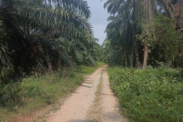 Telok Panglima Garang Industrial Zone