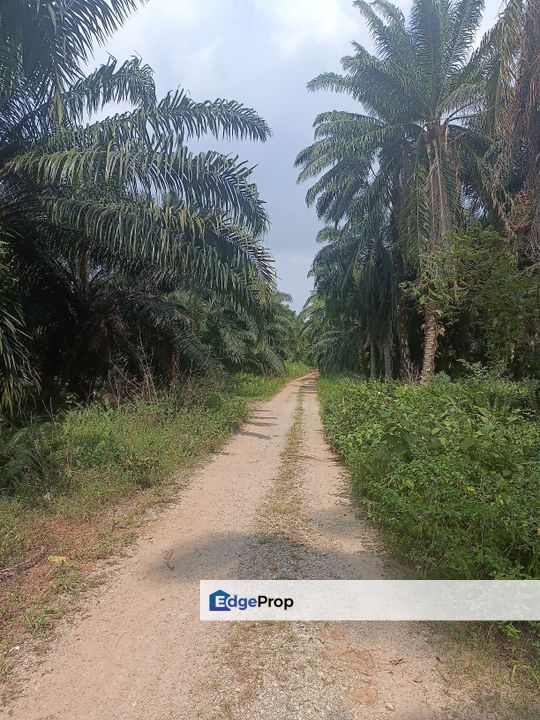 Industry land for sale at Telok Panglima Garang , Selangor, Telok Panglima Garang