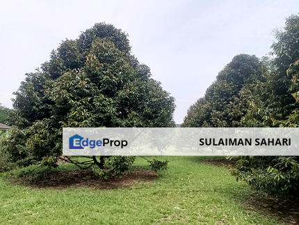 1.1 Acre, Durian Farm For Sale, Road Frontal, Freehold, Non Bumi Lot, Lenggeng, Negeri Sembilan, Negeri Sembilan, Seremban