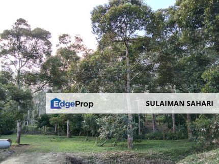 4.64 Acre Durian Farm For Sale, Simpang Pertang, Jelebu Negeri Semiblan, Negeri Sembilan, Jelebu