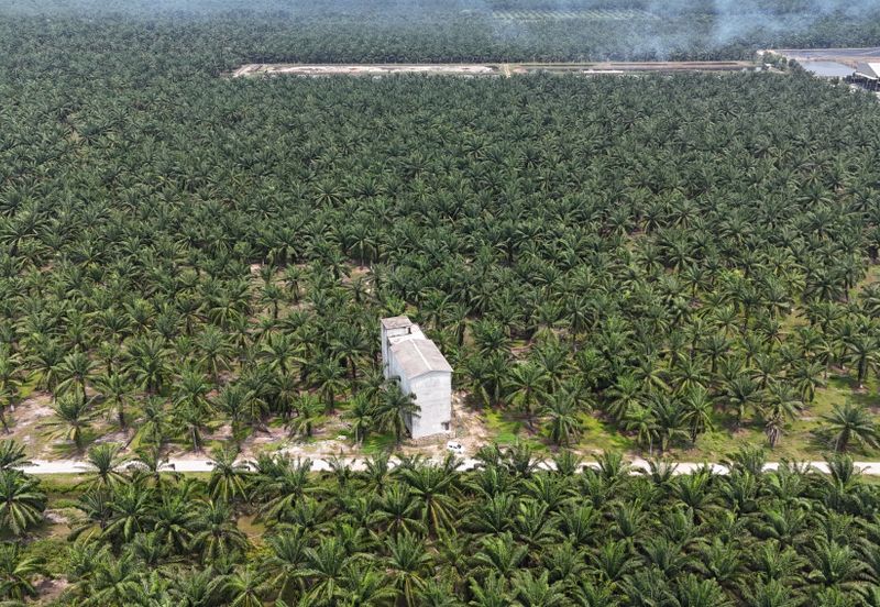 Agricultural land , Kuala Langat, Mukim Batu