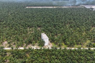 Agricultural land , Kuala Langat, Mukim Batu