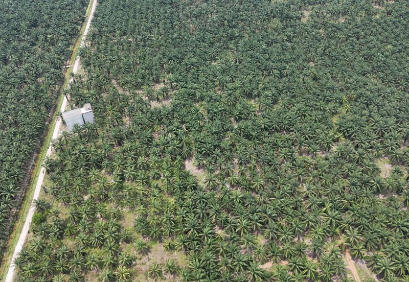 Agricultural land , Kuala Langat, Mukim Batu