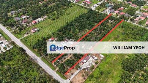 Agriculture Land with palm oil trees for sale facing Morib main road , Selangor, Banting