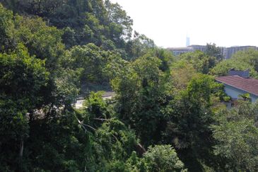 Damansara Heights (Bukit Damansara)