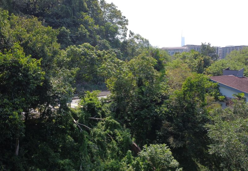 Damansara Heights (Bukit Damansara)