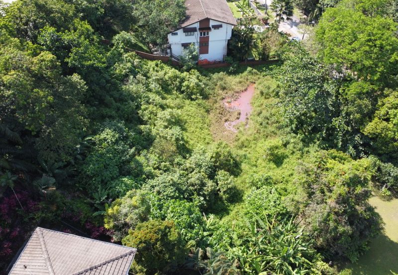 Damansara Heights (Bukit Damansara)