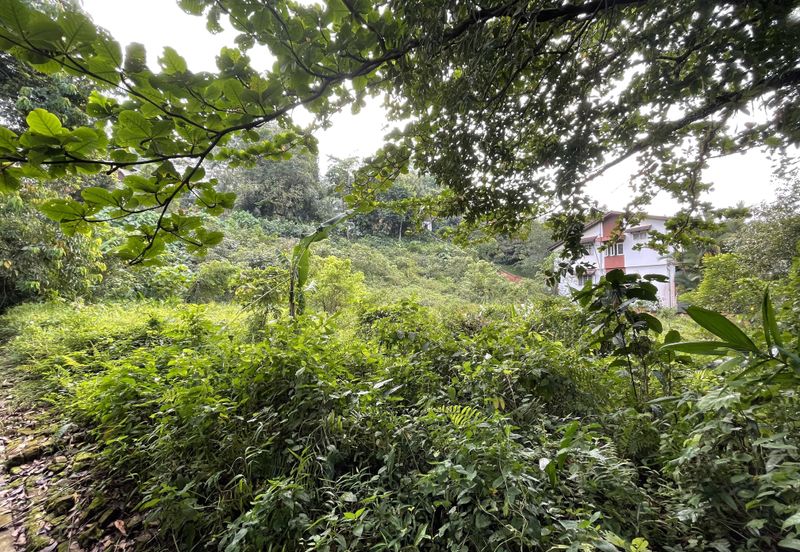 Damansara Heights (Bukit Damansara)