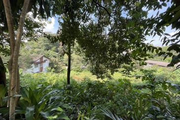 Damansara Heights (Bukit Damansara)