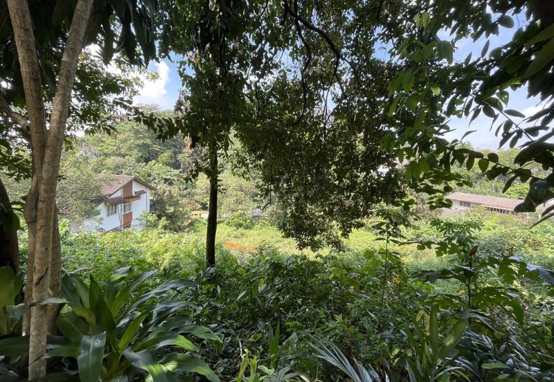 Damansara Heights (Bukit Damansara)