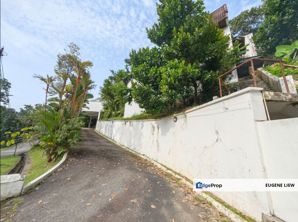 Oasis on a Hill @ Taman Duta, Kenny Hills, Kuala Lumpur, Taman Duta