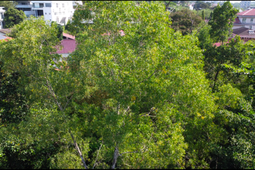 Jalan Lengkok Setiabudi 