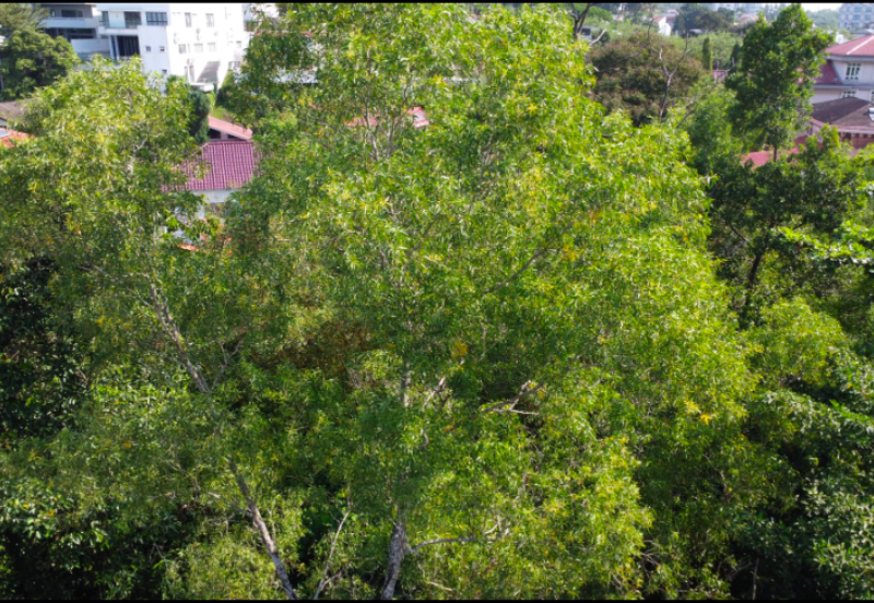 Jalan Lengkok Setiabudi 