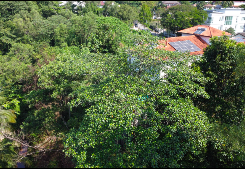 Jalan Lengkok Setiabudi 