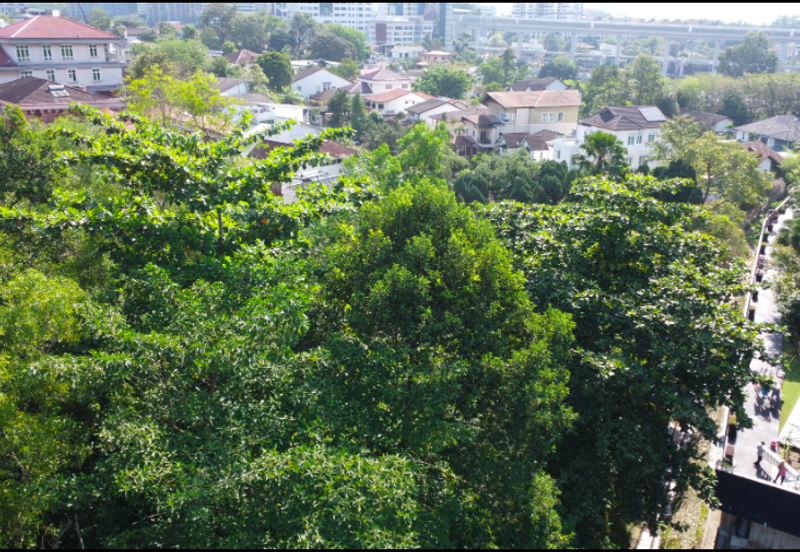 Jalan Lengkok Setiabudi 