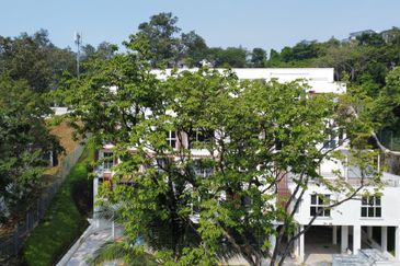 Damansara Heights (Bukit Damansara)